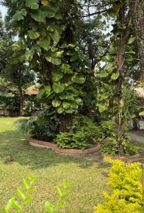 Republica de Colombia casi Guyana 571, Mariano Roque Alonso, 중앙 00001, 파라과이