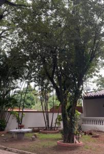 Republica de Colombia casi Guyana 571, Mariano Roque Alonso, 중앙 00001, 파라과이