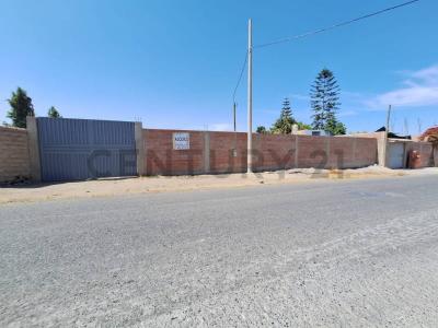 Tacna, Tacna 00001, Peru