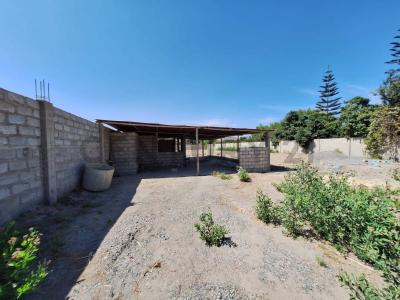 Tacna, Tacna 00001, Peru