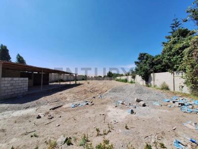 Tacna, Tacna 00001, Peru