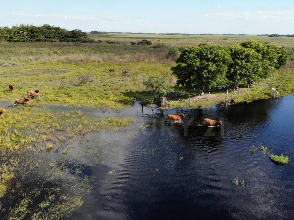 Pilar, Ñeembucú 00001, Paraguay