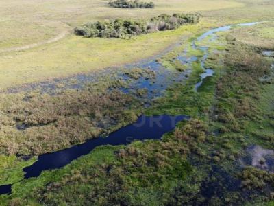 Pilar, Ñeembucú 00001, Paraguay