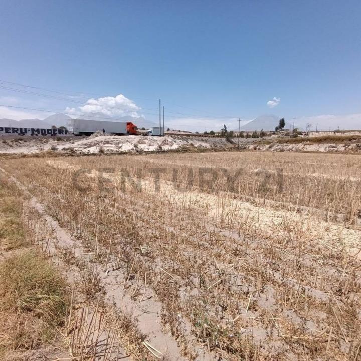 Arequipa, Arequipa 00001, Peru