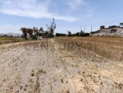 Arequipa, Arequipa 00001, Peru