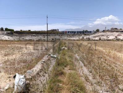 Arequipa, Arequipa 00001, Peru