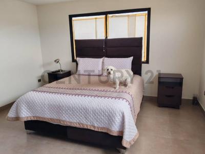 Zona Temporal Pampa,  C/Jack London, Esq. Francisco de Quevedo , Norte, Cochabamba 00001, Bolivia