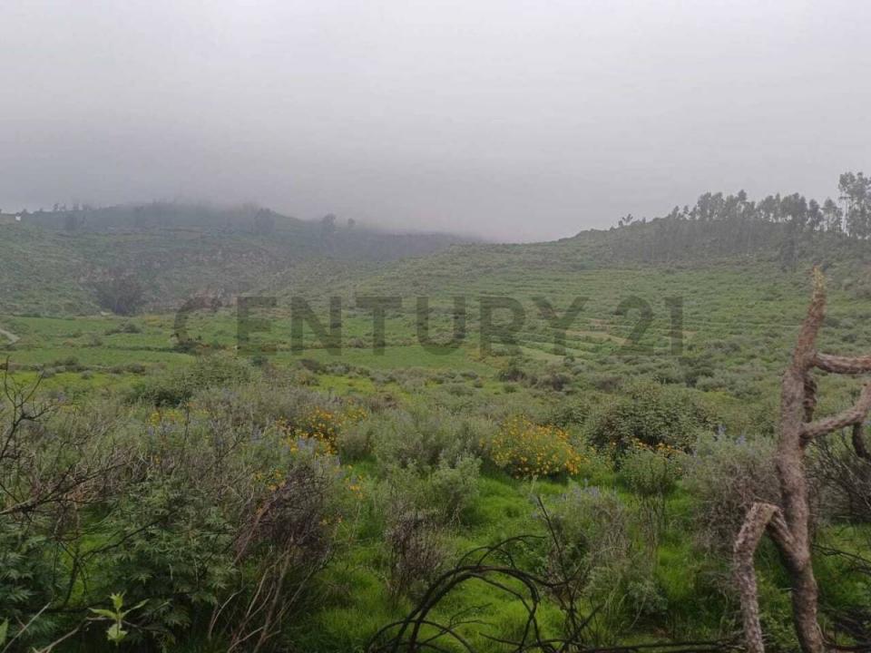 Castilla, Arequipa 00001, Peru