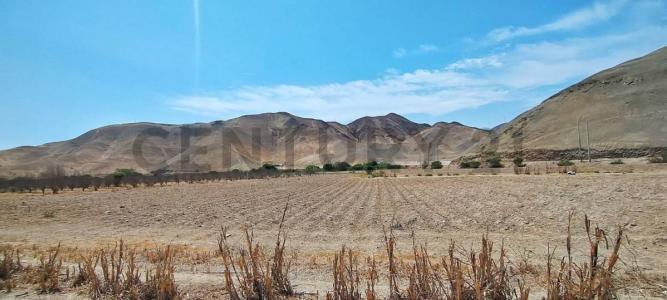 Cañete, Lima 00001, Peru