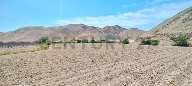 Cañete, Lima 00001, Peru