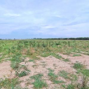 Chincha, Ica 00001, Peru