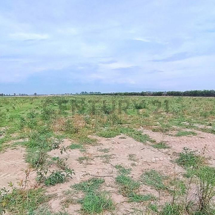 Chincha, Ica 00001, Peru