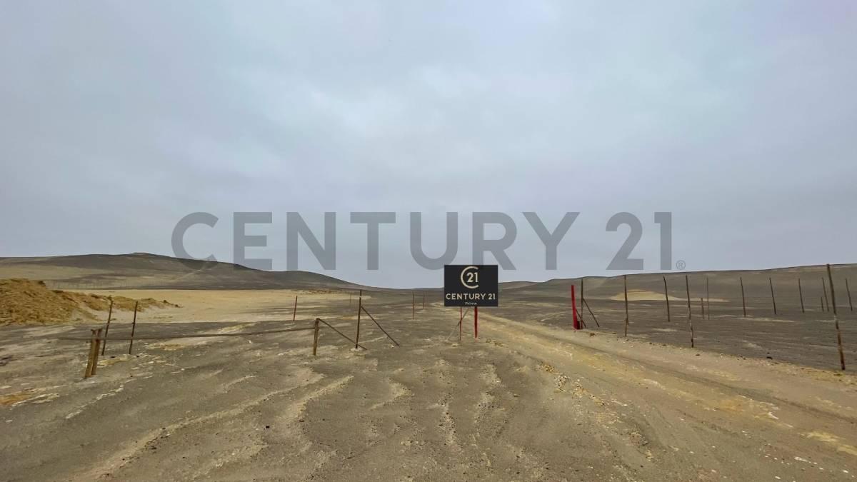 Pisco, Ica 00001, Перу