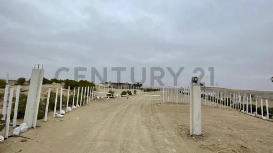 Pisco, Ica 00001, Перу