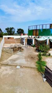 Cañete, Lima 00001, Peru