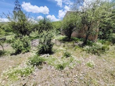 Municipio de Yotala, Comunidad Molle Viejo S/N, Sucre, Chuquisaca 00001, Bolivia