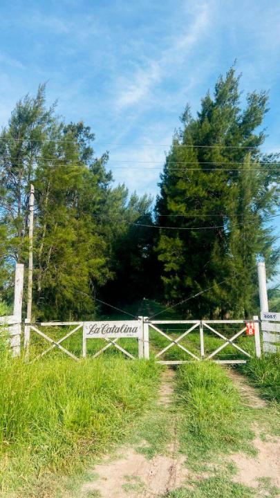 ruta 215 S/N, Brandsen, GBA Sur 00001, Argentina