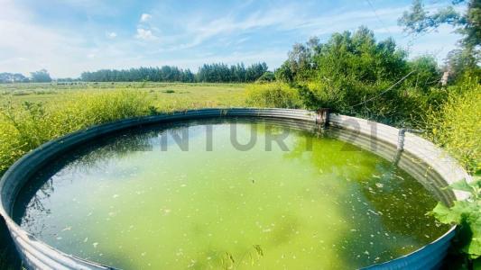 ruta 215 S/N, Brandsen, GBA Sur 00001, Argentina