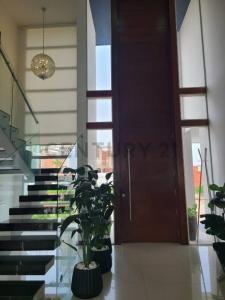 EL PARAISO - COLINAS DEL URUBO , Urubo, Santa Cruz 00001, Bolivia