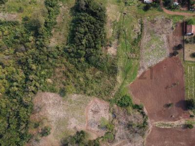 San Juan Del Paraná, Itapúa 00001, 巴拉圭