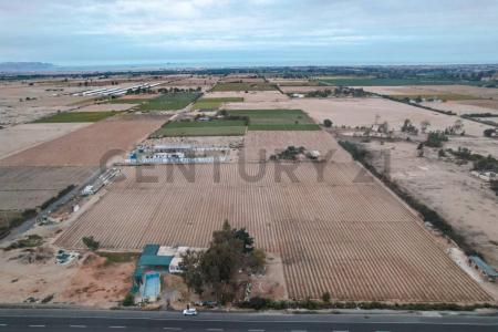 Pisco, Ica 00001, Peru