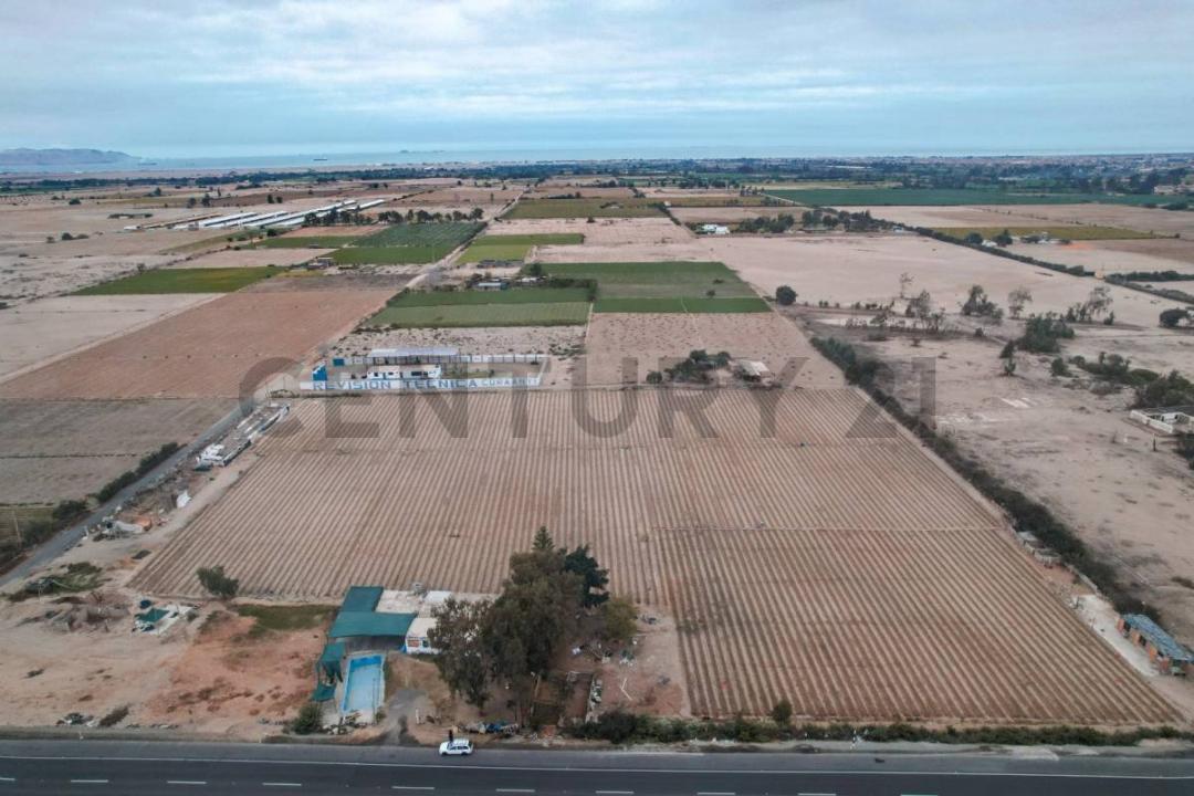 Pisco, Ica 00001, Peru