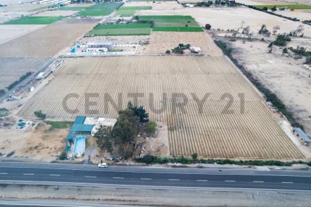 Pisco, Ica 00001, Peru