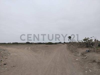 Pisco, Ica 00001, Peru