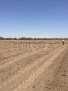 Ica, Ica 00001, Peru