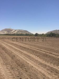 Ica, Ica 00001, Peru