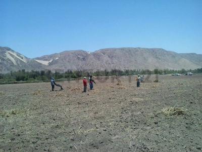 Ica, Ica 00001, Peru