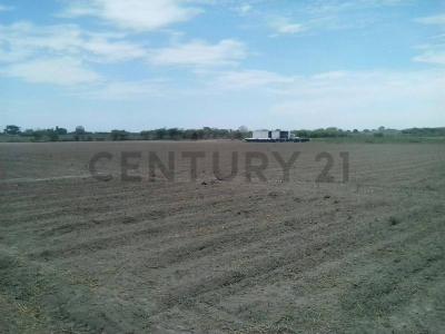 Ica, Ica 00001, Peru