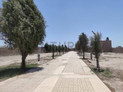 Ica, Ica 00001, Peru