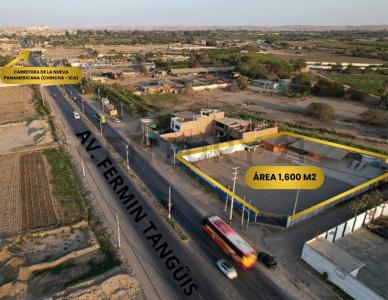 Pisco, Ica 00001, פרו