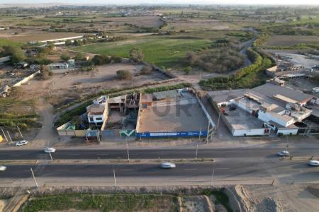 Pisco, Ica 00001, פרו