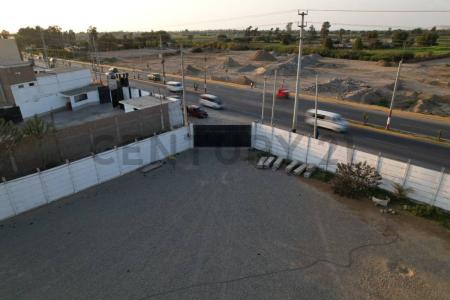 Pisco, Ica 00001, פרו