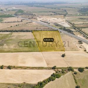 Chincha, Ica 00001, Peru