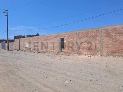 Pisco, Ica 00001, Peru