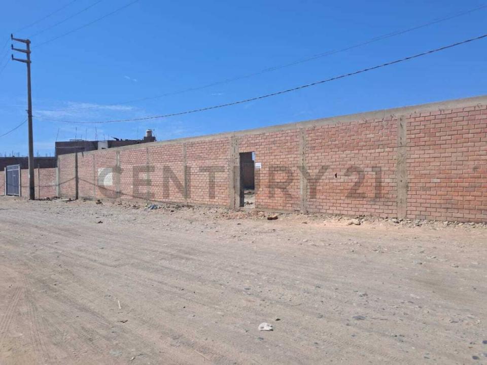 Pisco, Ica 00001, Peru