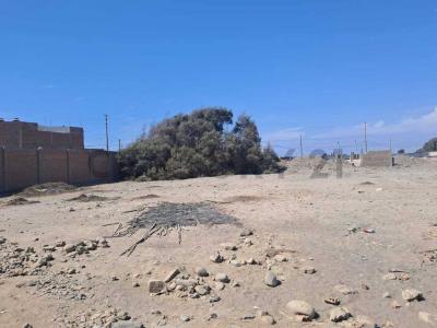 Pisco, Ica 00001, Peru