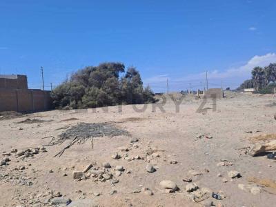 Pisco, Ica 00001, Peru