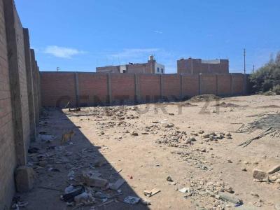 Pisco, Ica 00001, Peru