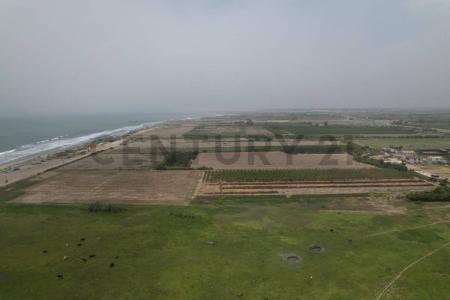 Chincha, Ica 00001, Peru