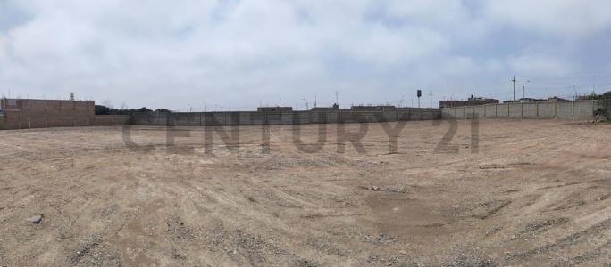 Pisco, Ica 00001, Peru