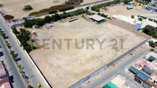 Pisco, Ica 00001, Peru