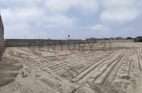 Pisco, Ica 00001, Peru