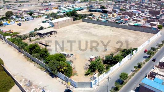 Pisco, Ica 00001, Peru