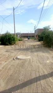 Huaura, Lima 00001, Peru