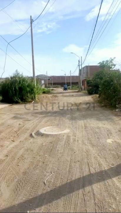 Huaura, Lima 00001, Peru