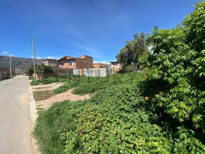 COCHABAMBA CHAPARE SACABA C/CORONEL SANCHEZ , Este, Cochabamba 00001, Боливия